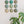 Ceramic Dome Rainforest Set (9)