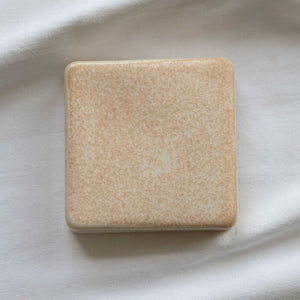 Wall Checker Sand Dollar