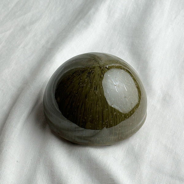 Ceramic Dome Deep Fern