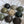 Ceramic Dome Wilderness Collection