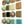Forest Greens Mixed set (20)