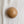Ceramic Dome Micro Champagne