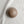 Ceramic Dome Oyster