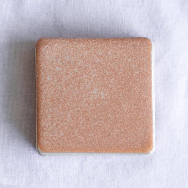 Wall Checker Sand Dollar