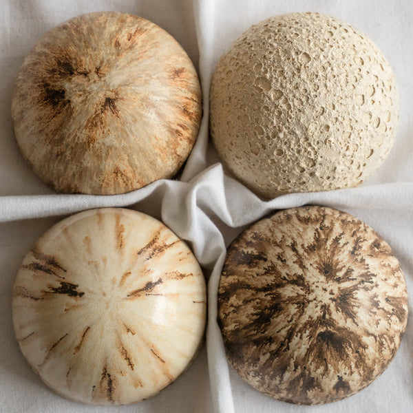 Ceramic Dome Earth Set #2