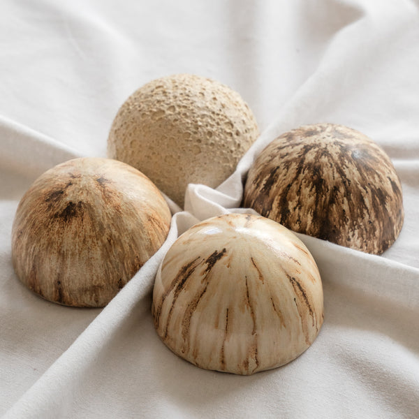 Ceramic Dome Earth Set #2