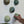 Ceramic Dome Alpine Moss Collection